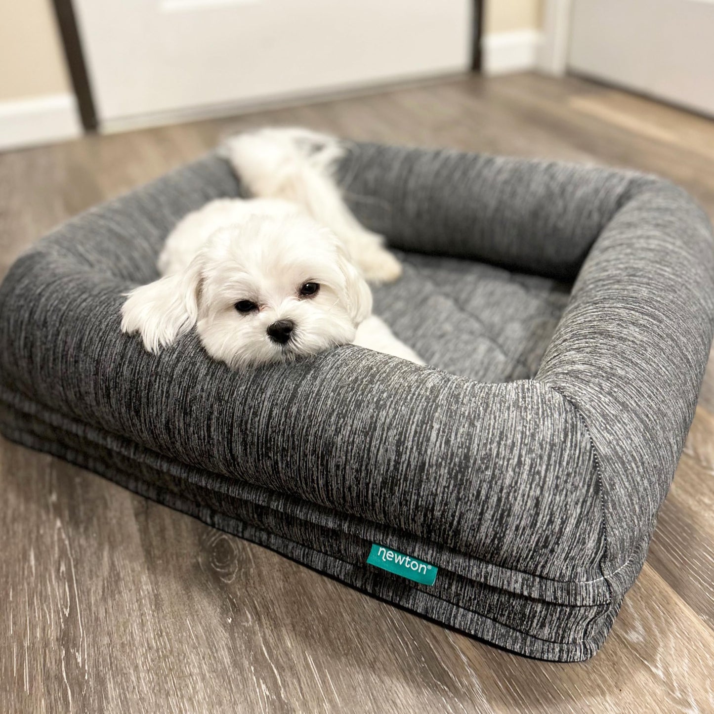 Newton Orthopedic Pet Bed - Washable Dog Bed for Small Dogs Puppy Bed Crate Bed with Removable & Breathable Dog Bed Cover Comfy & Durable Dog Bed for Small to Large Dogs Dog Essentials Small