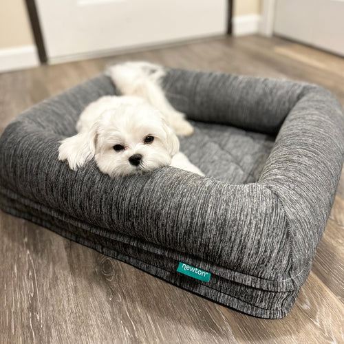 Newton Orthopedic Pet Bed - Washable Dog Bed for Small Dogs Puppy Bed Crate Bed with Removable & Breathable Dog Bed Cover Comfy & Durable Dog Bed for Small to Large Dogs Dog Essentials Small