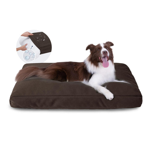 Miguel Durable Canvas Dog Bed Waterproof Dog Bed with Removable Washable Cover 14 Ounce Canvas Dog Pillow for Large Medium Small Dogs Indoor Outdoor Pet Mat 40 x 30 inch Brown